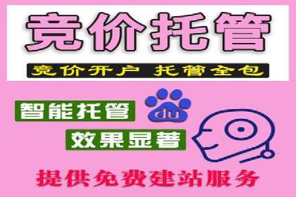 SEM主管实战案例：广告投放策略优化